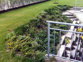 Service Garten
